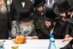הערליכע בילדער פון כ"ק אדמו"ר מסאטמאר שליט"א ביים מסע המלכות בוני המלוכה