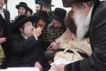 שמחת הברית פאר אור אייניקל פון כ"ק אדמו"ר מתולדות אברהם יצחק שליט"א  בהשתתפות הרה"ק רבי יעקב מאיר שעכטער שליט"א  
