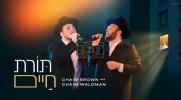 Main image for תורת חיים - חיים ברוין וחיים וואלדמאן