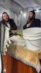 Main image for נעכטן ראש חודש סיון אפיעל אינעם 18 פארשעי שיהל אין מאנסי דורך די 2 חשוב'ע גבאים.