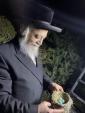 הגה"צ אב"ד קלוזש שליט"א ביים מקיים זיין די מצוה פון שילוח הקן, פארנט פון בית המדרש תפארת יחזקאל "זכרון יהושע שלום" אין קרית טאהש. דורכגעפירט אינעם חצר פונעם באקאנטן נדיב לב הרב החסיד ר' אהרן פרושנובסקי שליט"א.