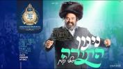 Main image for ניגון התורה - יואלי קליין