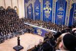 פולע גאלעריע: שמחת החתונה בחצר הקודש באבוב 