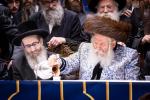 פולע גאלעריע: שמחת החתונה בחצר הקודש באבוב 