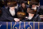 פולע גאלעריע: שמחת החתונה בחצר הקודש באבוב 