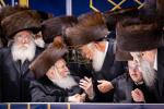 פולע גאלעריע: שמחת החתונה בחצר הקודש באבוב 