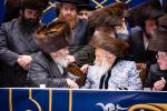 פולע גאלעריע: שמחת החתונה בחצר הקודש באבוב 