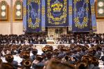 פולע גאלעריע: שמחת החתונה בחצר הקודש באבוב 