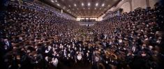 פולע גאלעריע: שמחת החתונה בחצר הקודש באבוב 