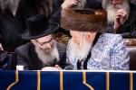 פולע גאלעריע: שמחת החתונה בחצר הקודש באבוב 