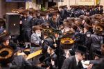 פולע גאלעריע: שמחת החתונה בחצר הקודש באבוב 