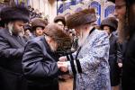 פולע גאלעריע: שמחת החתונה בחצר הקודש באבוב 