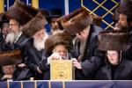 פולע גאלעריע: שמחת החתונה בחצר הקודש באבוב 