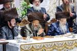 חג השבועות בחצר הקודש באבוב - 45