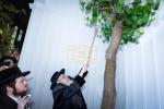 כ"ק אדמו"ר מצאנז קלויזענבורג שליט"א ביים מקיים זיין מצות שילוח הקן באישון ליל פארנט פון בנין הישיבה גדולה צאנז קלויזענבורג אין בארא פארק