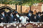 בילדער און ווידיאוס:גרויסארטיגע מעמד הכנסת ספר תורה דורך כ"ק אדמו"ר מוויזניץ שליט"א 
