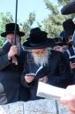 כ"ק מרן אדמו"ר מסערדאהעלי שליט"א איז מתפלל ביים הר הצופים מול מקום המקדש 