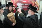 הכנסת ספר תורה בחצר הקודש סאסוב