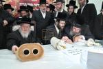 הכנסת ספר תורה בחצר הקודש סאסוב