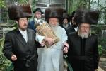 הכנסת ספר תורה בחצר הקודש סאסוב