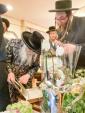 כ"ק אדמו"ר מסאטמאר שליט"א באטראכט די חפצי ירושה 