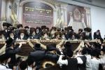 מעמד חצי יובל פון קהילת וויזניץ אלעד צוזאמען מיט א שבע ברכות בחצר הקודש 