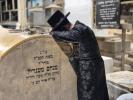 כ"ק אדמו"ר מזוועהיל שליט"א אויף קברי צדיקים אין טבריה