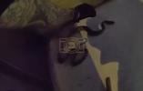 Main image for א ווידעא וואס פארט ארום אויף די גרופעס כאפט אויף א טעקסאס אפיציר וואס ווייזט ארויס אייזערנע נערוון, ווען ער כאפט א שלאנג מיט בלויזע הענט.