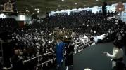 פולע ווידיאוס פון שמחת החתונה בחצר הקודש צאנז