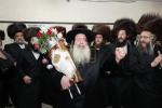 באזוך פון הגה"צ רבי שמעון זאב מייזליש שליט"א אין קהילת סאטמאר בני ברק