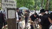 א זומער קידוש השם אין ניקלשבורג 