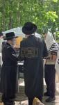 וואס טוט זיך אלץ אפ אין ניקלשבורג 