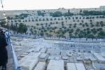 הערליכע בילדער פון הילולת אור החיים הקדוש זי"ע 