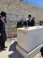 כ"ק אדמו"ר מזוועהיל שליט"א באזוכט אין ארץ ישראל 