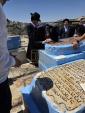 כ"ק אדמו"ר מזוועהיל שליט"א באזוכט אין ארץ ישראל 