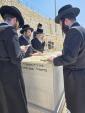 כ"ק אדמו"ר מזוועהיל שליט"א באזוכט אין ארץ ישראל 