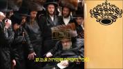 Main image for כ"ק אדמו"ר מבעלזא שליט"א זינגט יבנה המקדש עיר ציון תמלא