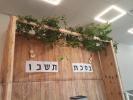 זומער אקטיוויטען פ' ואתחנן אין מחנה סאטמאר בארא פארק - קענאזע לעיק
