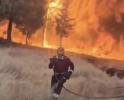 וואלד פייער אין שפאניע ווערט פארלאשן