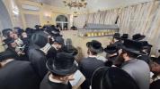 האחים האדמורי"ם מקרעטשניף סיגעט שליט"א אין בישטינא און נדבורנא