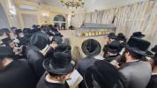 האחים האדמורי"ם מקרעטשניף סיגעט שליט"א אין בישטינא און נדבורנא