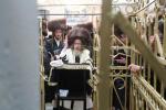 מסע הקודש "יזכור אהבתם" ע"י כ"ק אדמו"ר מקרעטשניף סיגעט שליט"א לציון של זקינו הרה"ק רבי מרדכי'לע מנדבורנא זי"ע בבישטינא ושבת קודש בליזענסק 