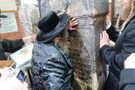 מסע הקודש "יזכור אהבתם" ע"י כ"ק אדמו"ר מקרעטשניף סיגעט שליט"א לציון של זקינו הרה"ק רבי מרדכי'לע מנדבורנא זי"ע בבישטינא ושבת קודש בליזענסק 