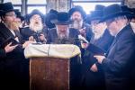 הילולת הרה"ק מבאבוב זי"ע אצל נכדו כ"ק אדמו"ר מבאבוב - 45 שליט"א 
