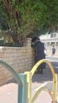 כ"ק אדמו"ר מקאזמיר שליט"א ווערט געזען לערנען אין גאס