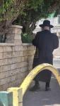 כ"ק אדמו"ר מקאזמיר שליט"א ווערט געזען לערנען אין גאס