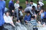 העפטיגע לעבעדיגע זומער אקטיוויטען אין מחנה סאטמאר בארא פארק - קענאזע לעיק
