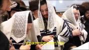 שמחת הברית פאר אור אייניקל פון כ"ק אדמו"ר מבעלזא שליט"א 