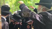 Main image for לעכטיגע זומער אין ניקלשבורג