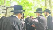 לעכטיגע זומער אין ניקלשבורג